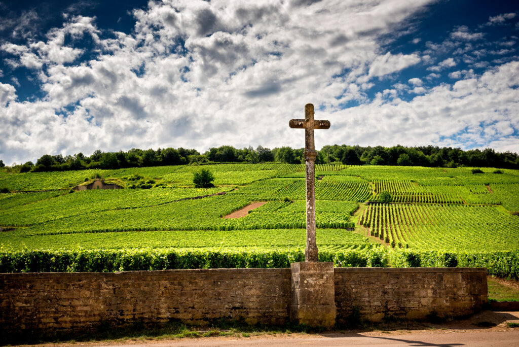 Vue du vignoble et sa croix en pierre à Vosne-Romanée